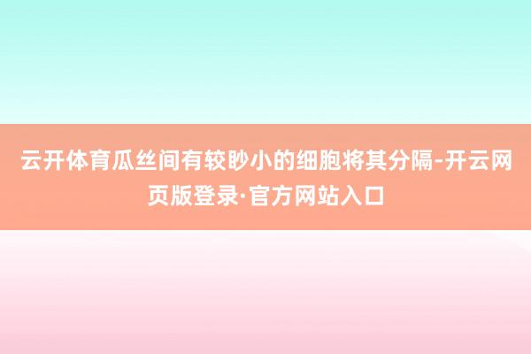 云开体育瓜丝间有较眇小的细胞将其分隔-开云网页版登录·官方网站入口